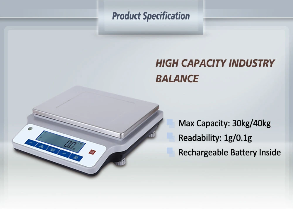 0.1gMK Large-capacity Balance